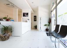 +039054466698